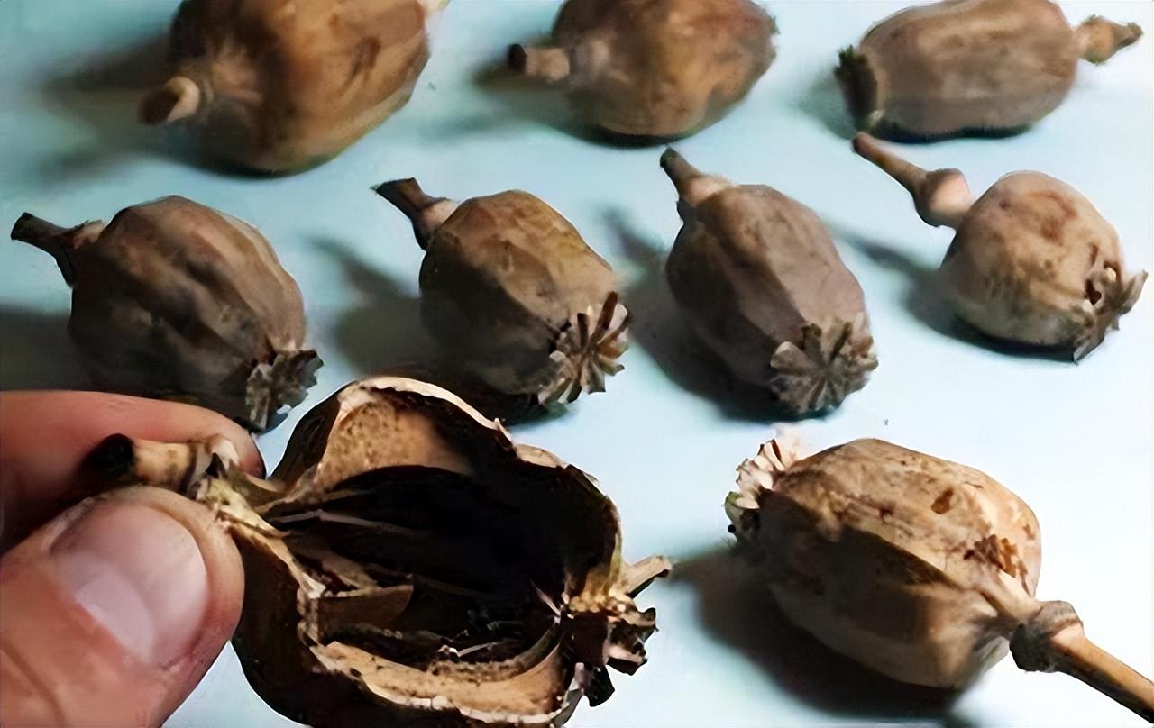 2015年四川一小伙参军毒检查出阳性小伙儿我吃过一碗牛肉面