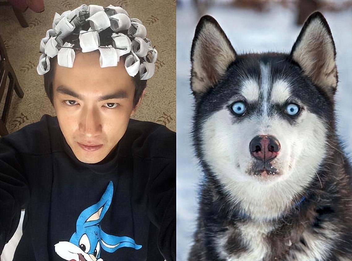 同样撞脸二哈的,还有我们的林狗林更新.