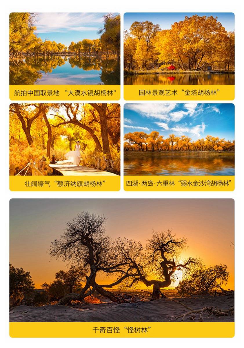 西北环线7日游跟团报价纯玩,西北环线旅游七天六晚本地报团费用