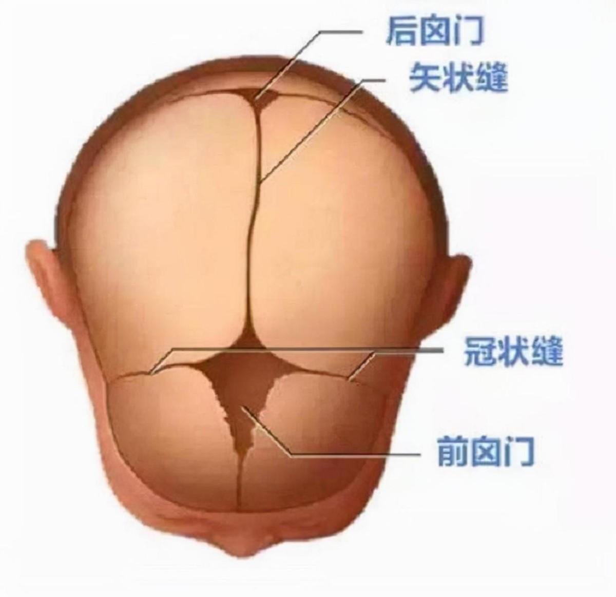 回顾:湖南夫妇生下"小猴子",差点被杂技团买走,如今孩子咋样了