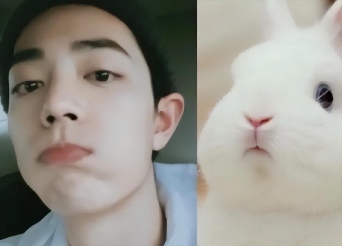 8位像动物的明星王一博肖战还能忍看到易烊千玺简直是神似