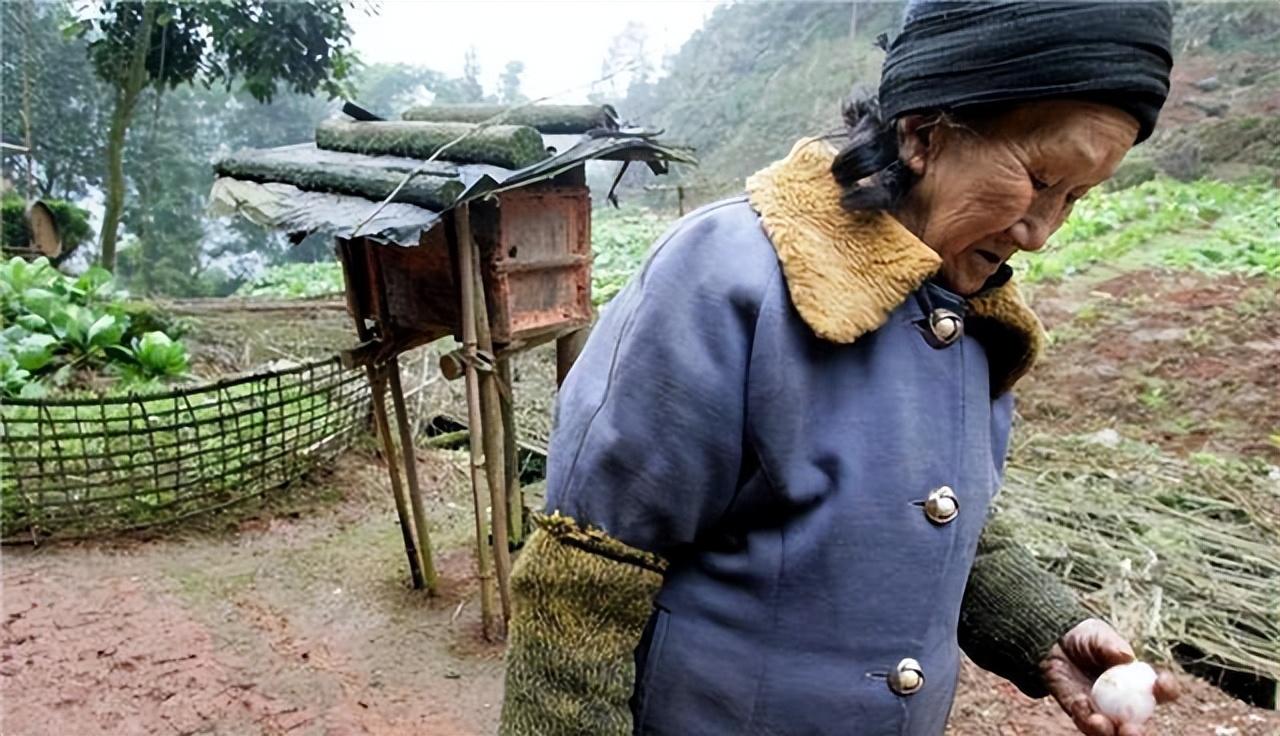 回顾20岁知青小伙嫁31岁带4个孩子的寡妇至今仍生活在大山中