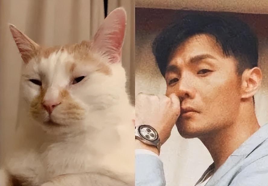 8位像动物的明星王一博肖战还能忍看到易烊千玺简直是神似