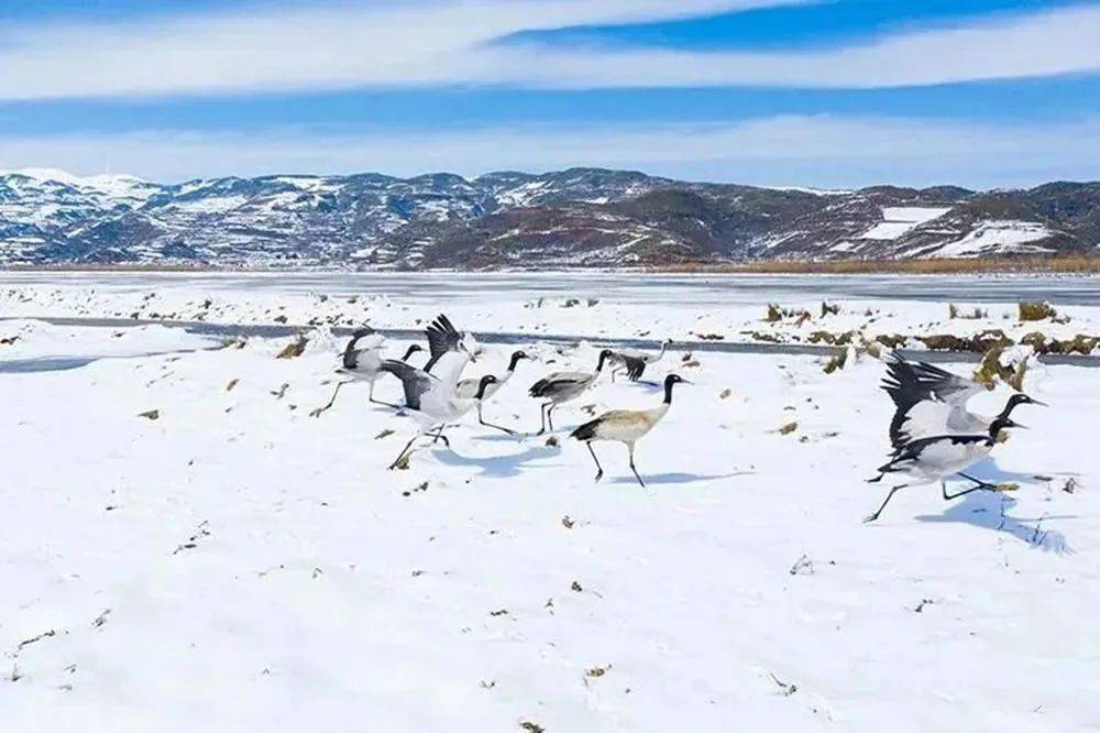 「美丽四川」走进大凉山——布拖县