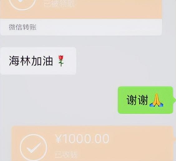 回顾河南一女孩发朋友圈借钱300个陌生人接连转账结果如何