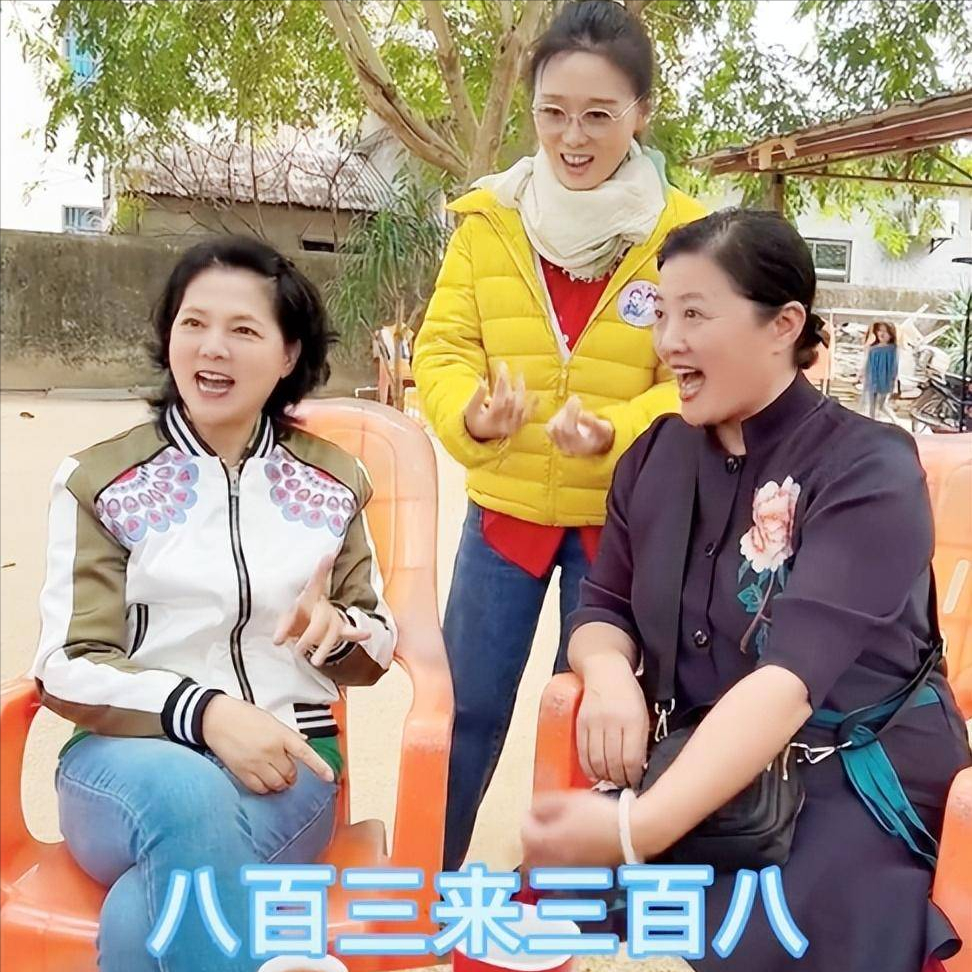 袁枚虽然和另外4位戏曲艺术家并称为黄梅戏的"四朵金花",但她虽然出身