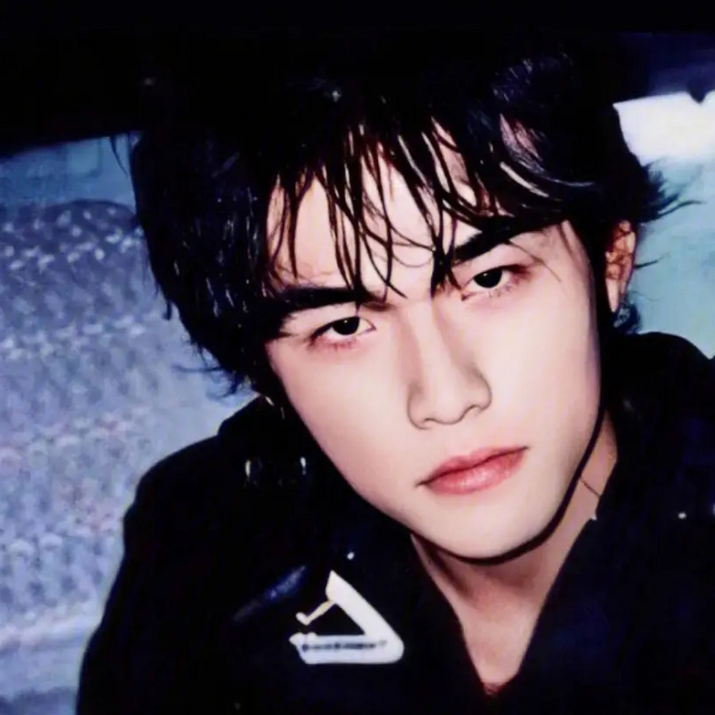 9,周杰伦-罗威纳犬