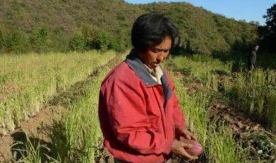 回顾北大学霸携妻隐居17年花光350万重回社会富豪同学缺钱找我