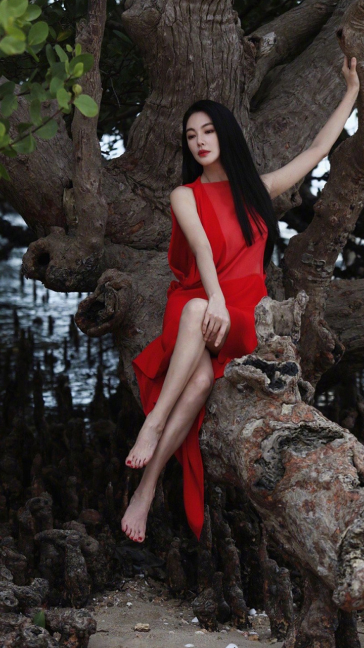 张雨绮美腿写真精选合集 #张雨绮