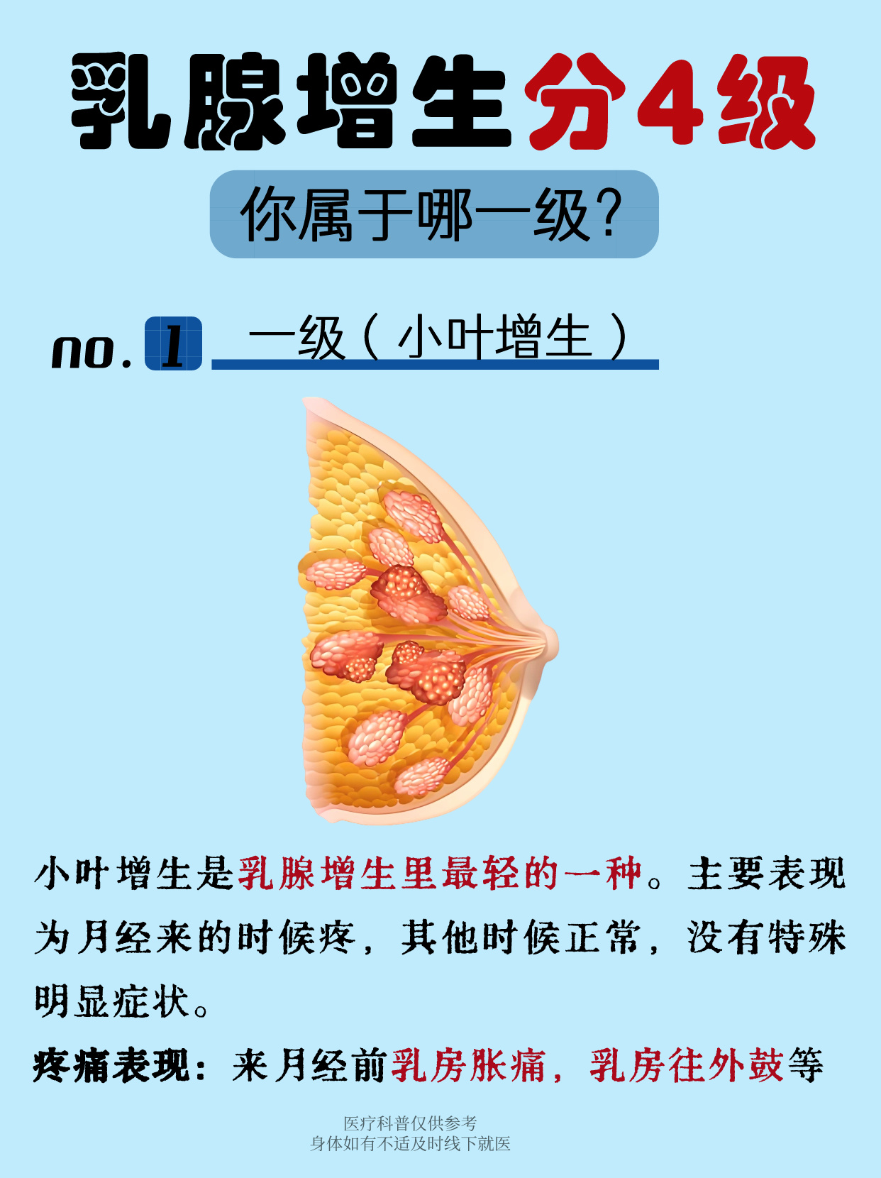 胸腺小叶图片