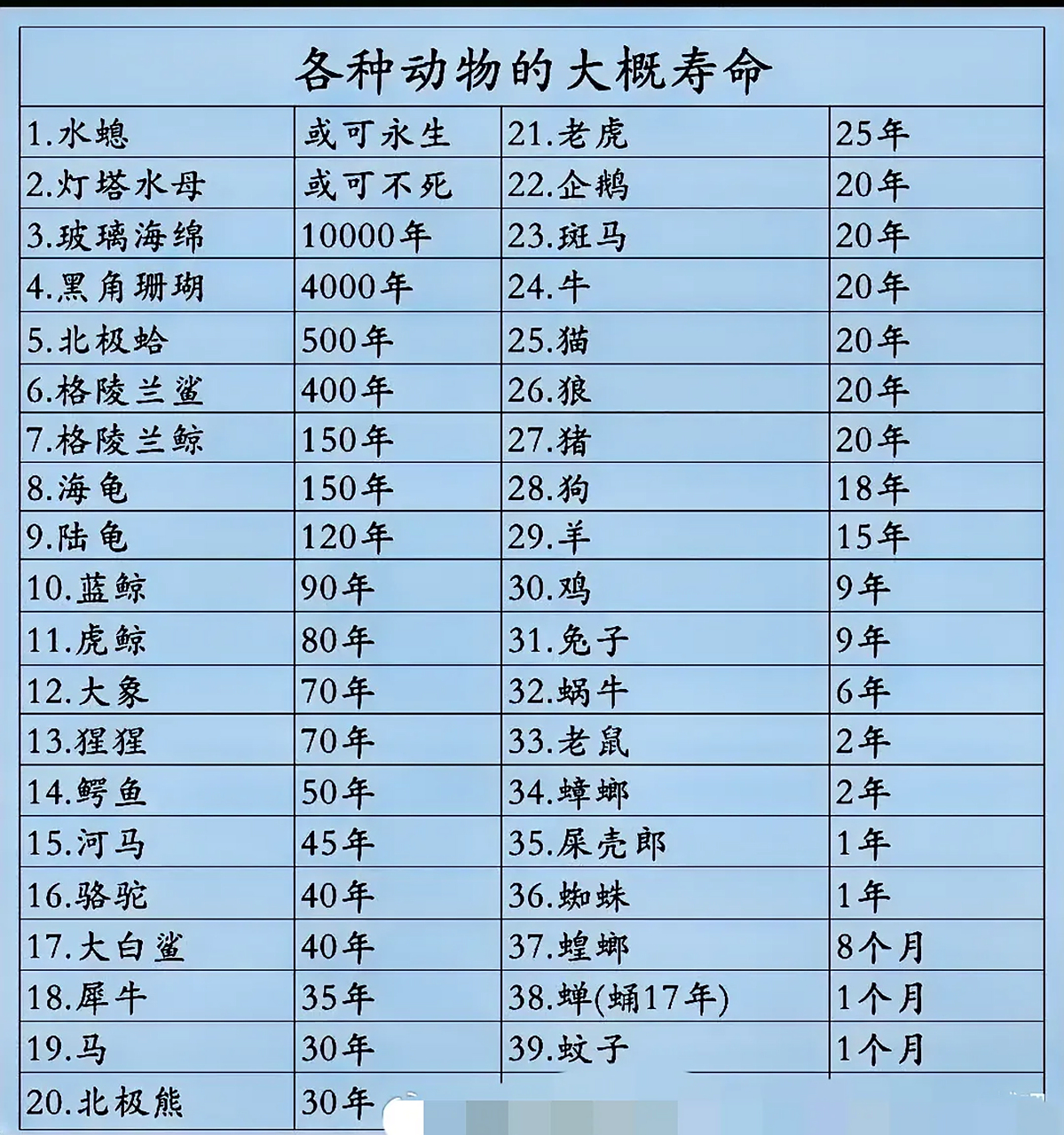 各种动物的基本寿命一览 海龟有200年寿命,陆龟能活150年 猫有20年
