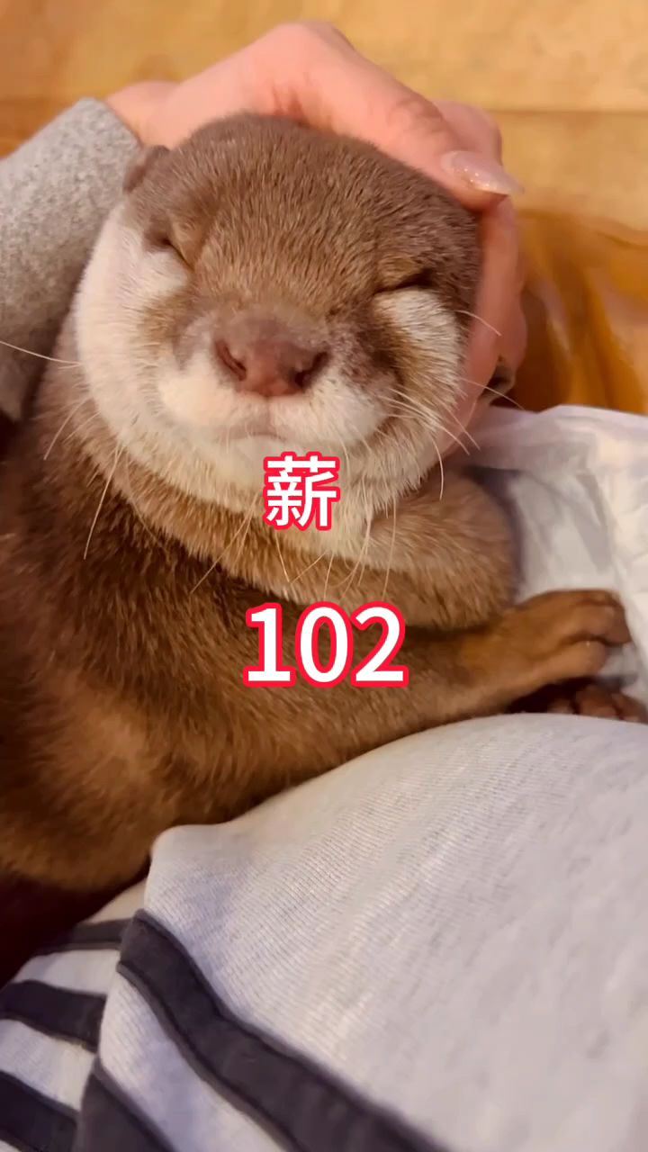 这小表情太呆萌了