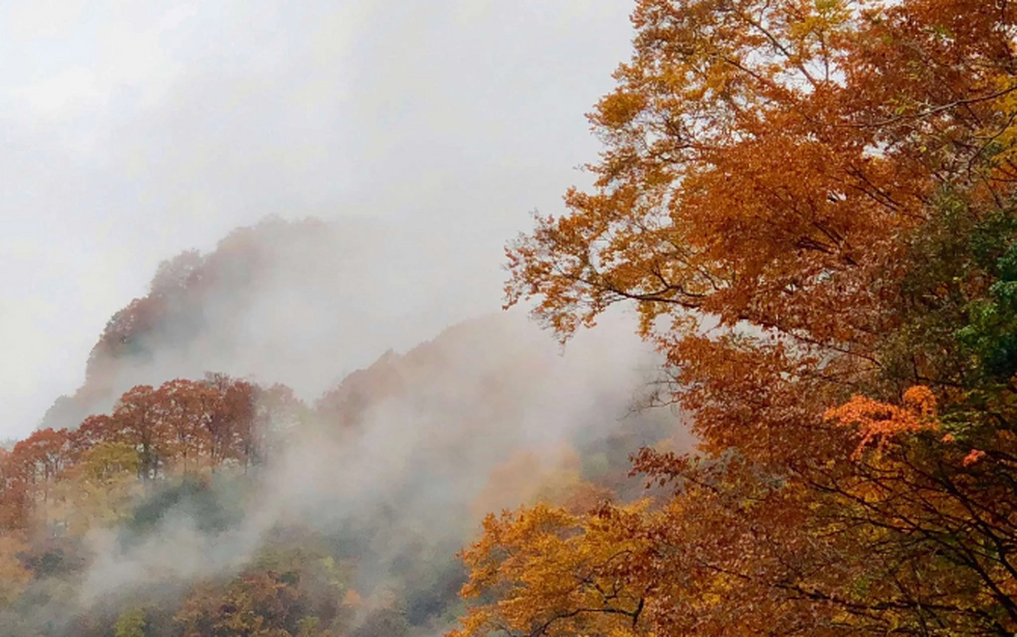 初冬晨曦,山峦雾锁烟笼.霜花如钻铺满大地!