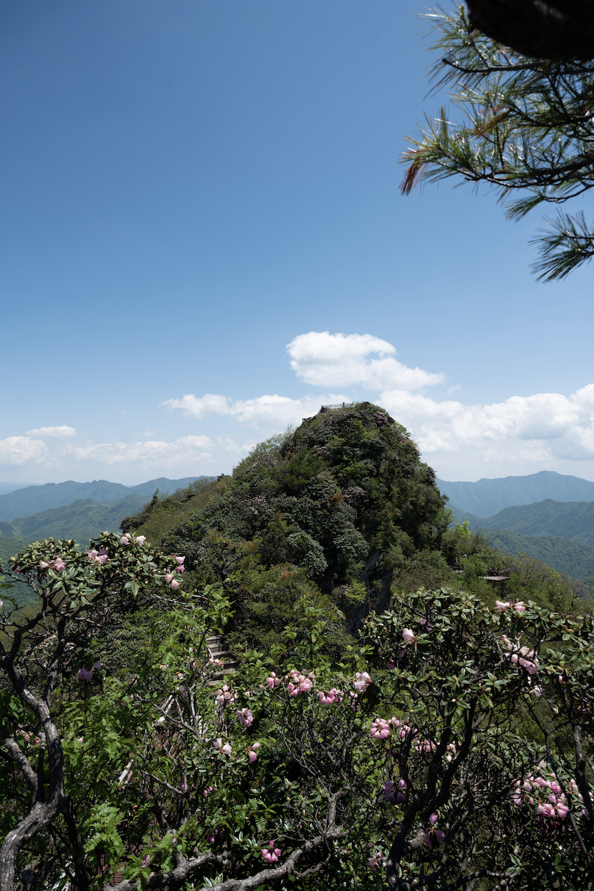 光雾山风景区的春天图片