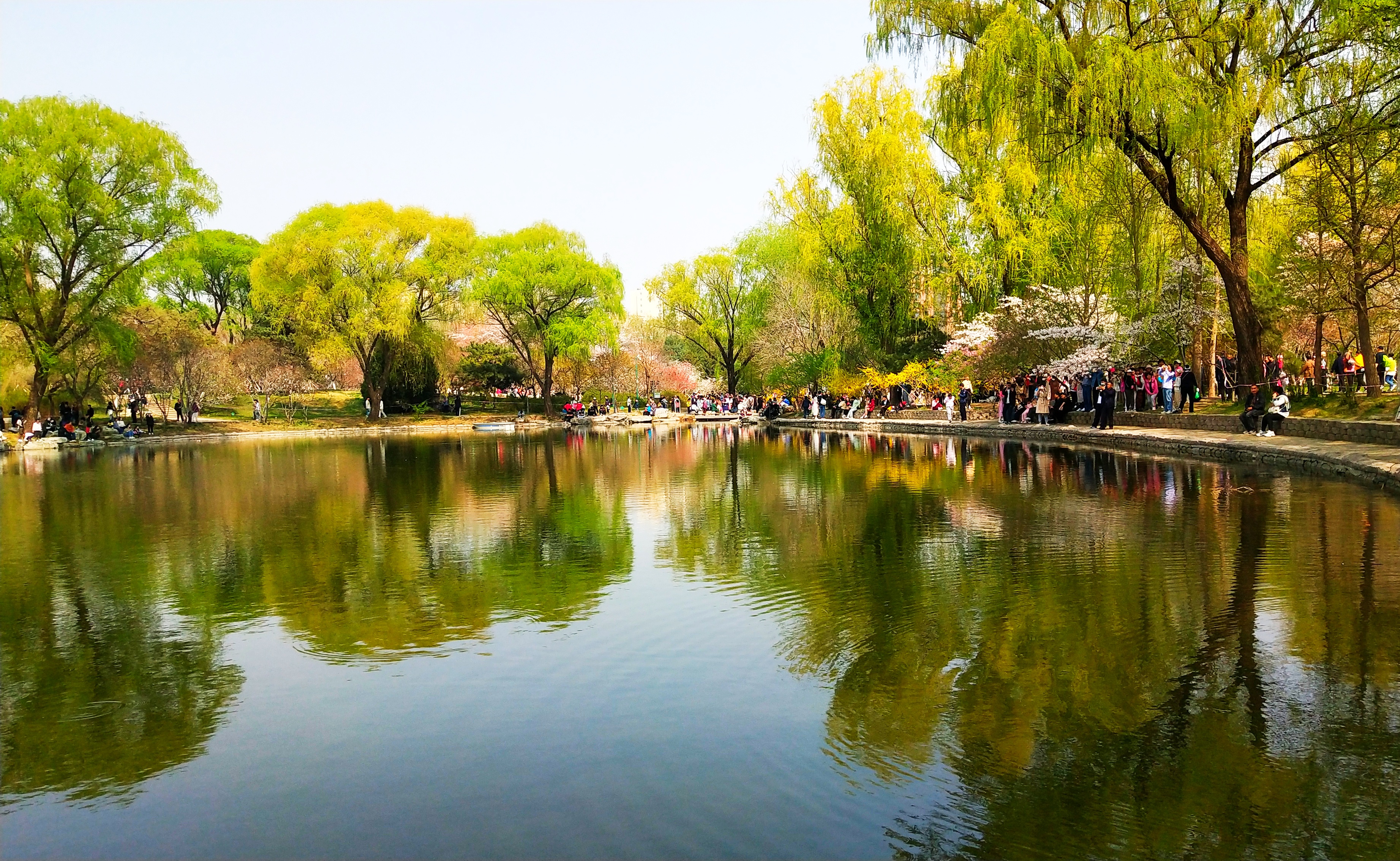 北京玉渊潭公园闹春天