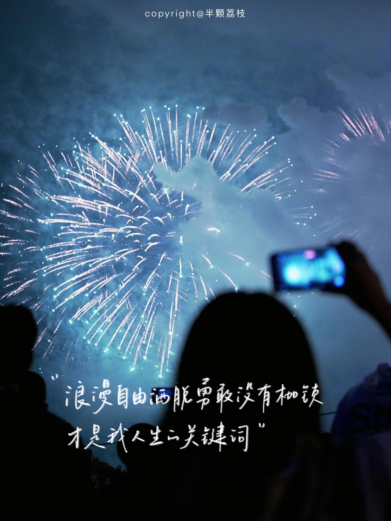 浪漫自由洒脱勇敢没有枷锁 才是我人生的关键词  #手写壁纸# #优质短