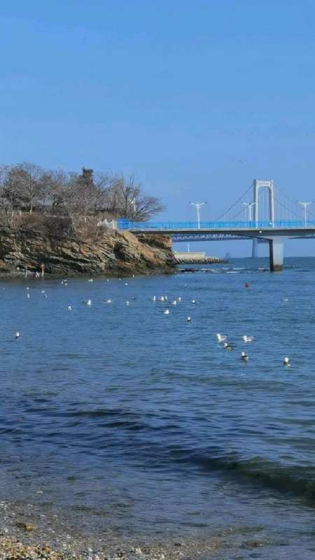 2024年4月12日大连星海公园