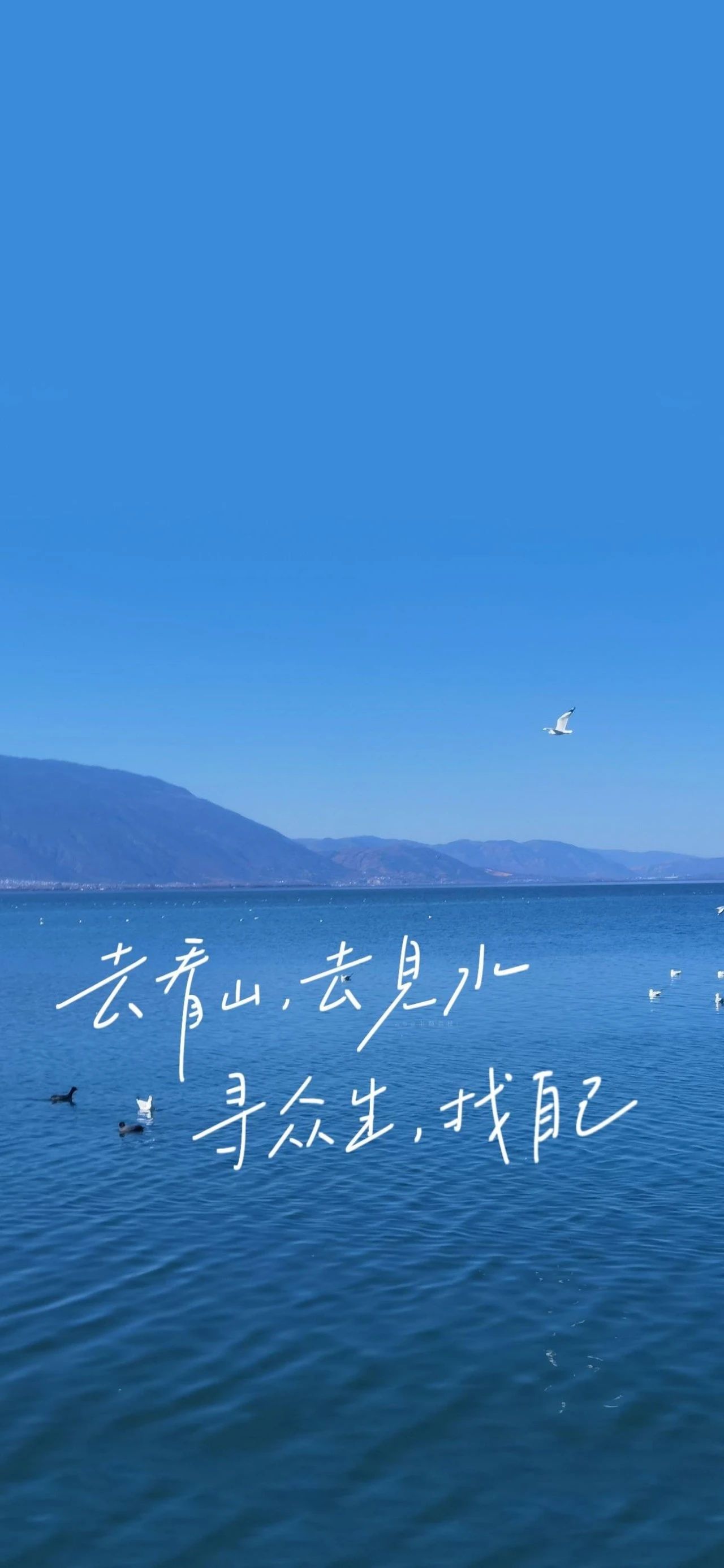 如果你觉得是对的 无论结果如何 一切都值得 #情感语录#  #壁纸