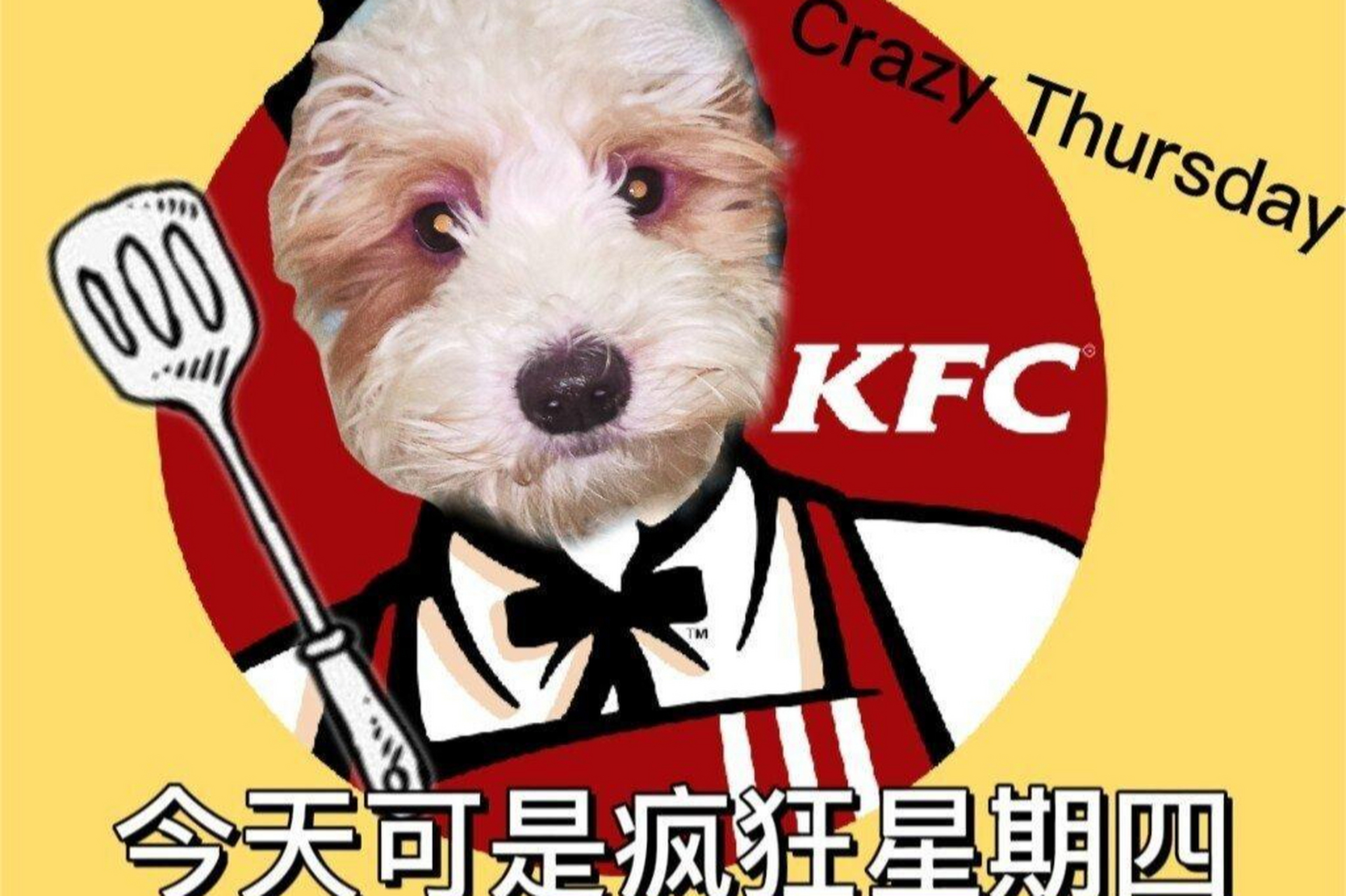 kfc疯狂星期四玩笑梗图片