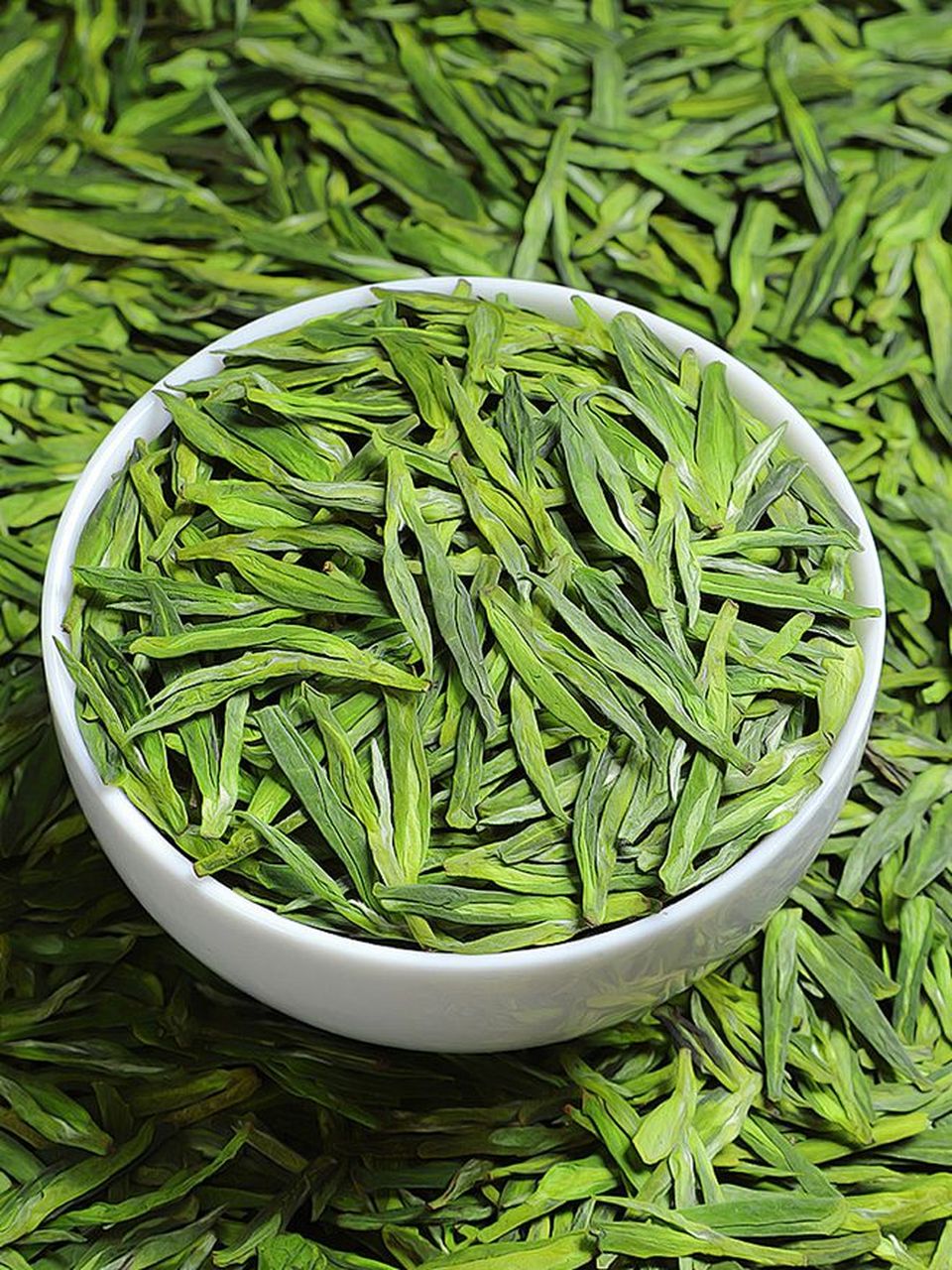 春分后,杭州龙井茶进入大规模采摘期.