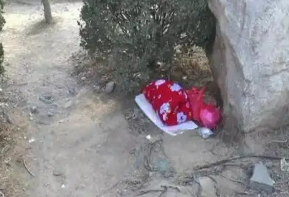 1992年安徽农妇胡杏诊捡回一个被弃6次的女婴靠拾破烂将其养大