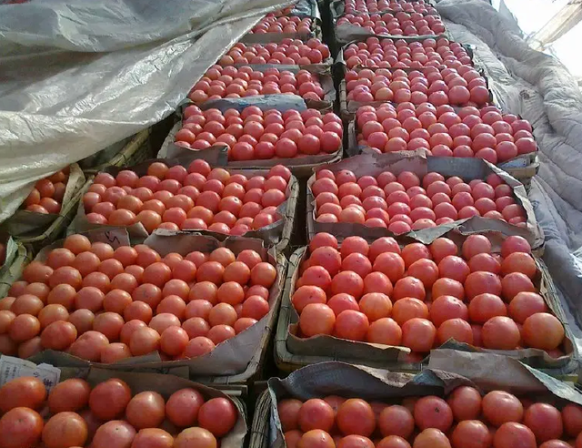 同样的商品,为什么价格不同?