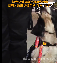 优秀的小狗也上交国家了!云南缉毒犬"阅读"立功
