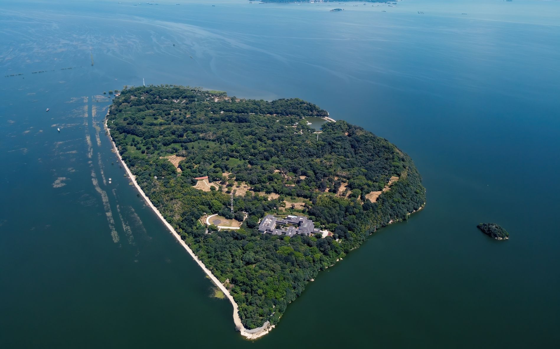 选正宗君山银针,认准君山,斑竹岛上,君山绿三大品牌