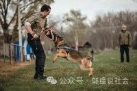 优秀的小狗也上交国家了!云南缉毒犬"阅读"立功