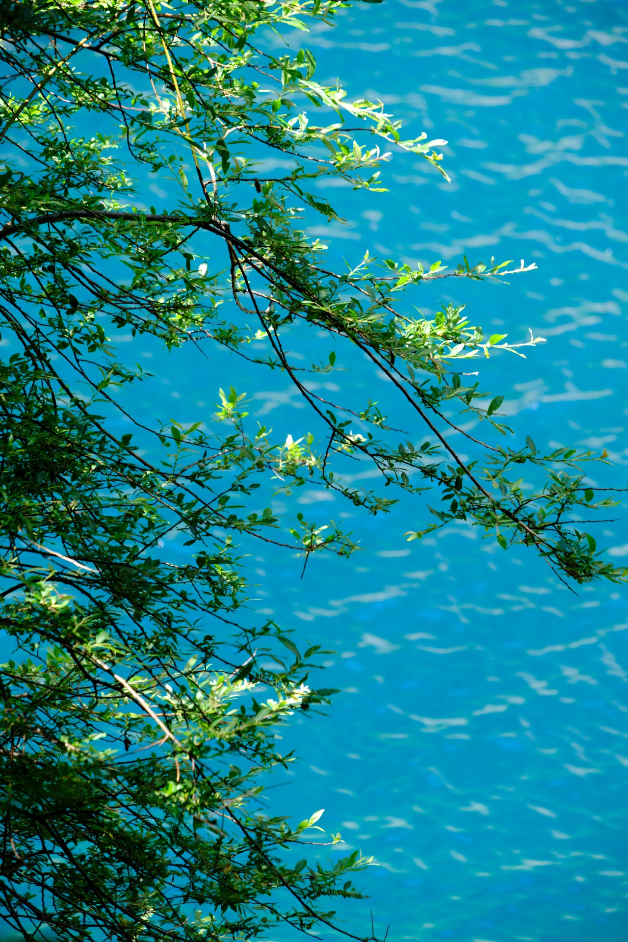 春游松坪沟山水间的诗意漫步