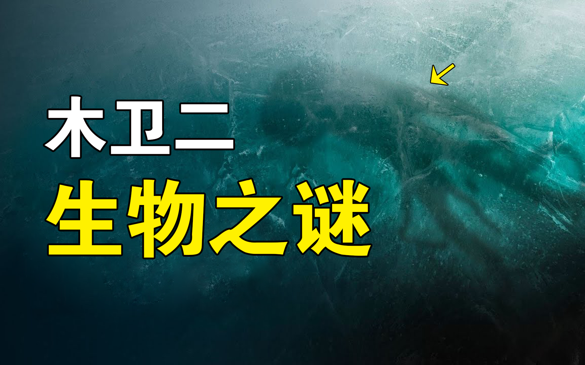 回顾深度超过10万米进入木卫二地下冰洋会发现什么物种