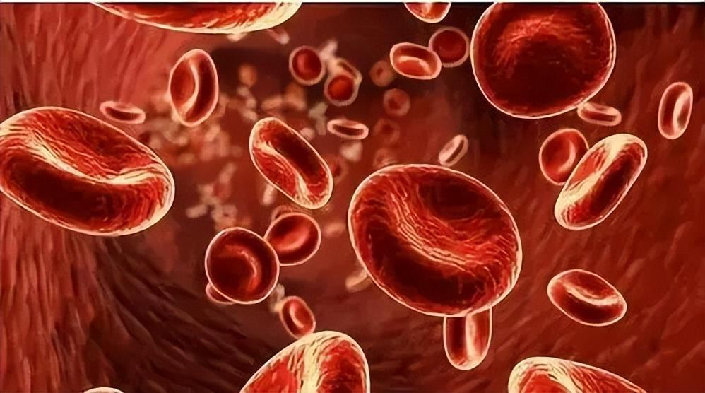 2018年11岁女孩突患重病父亲捐骨髓后失联留言我已尽到责任