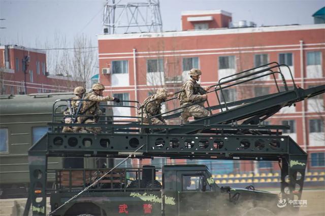 武警猎鹰突击队图片