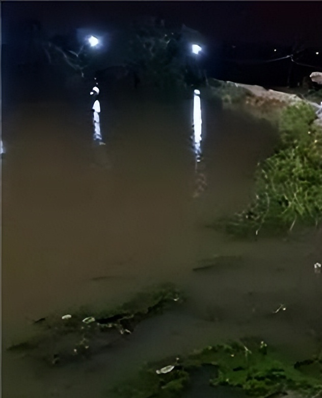 2016年偷鱼贼命丧鱼塘鱼塘主被告上法庭小偷家属判刑赔钱