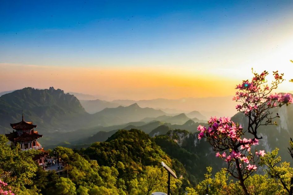 春天是游玩白云山的好时节,可以欣赏到满山的翠绿,各种花卉百花争艳的