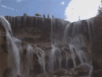 白龙马晚年过得凄惨杨洁导演两次探望落泪为何不出手救它