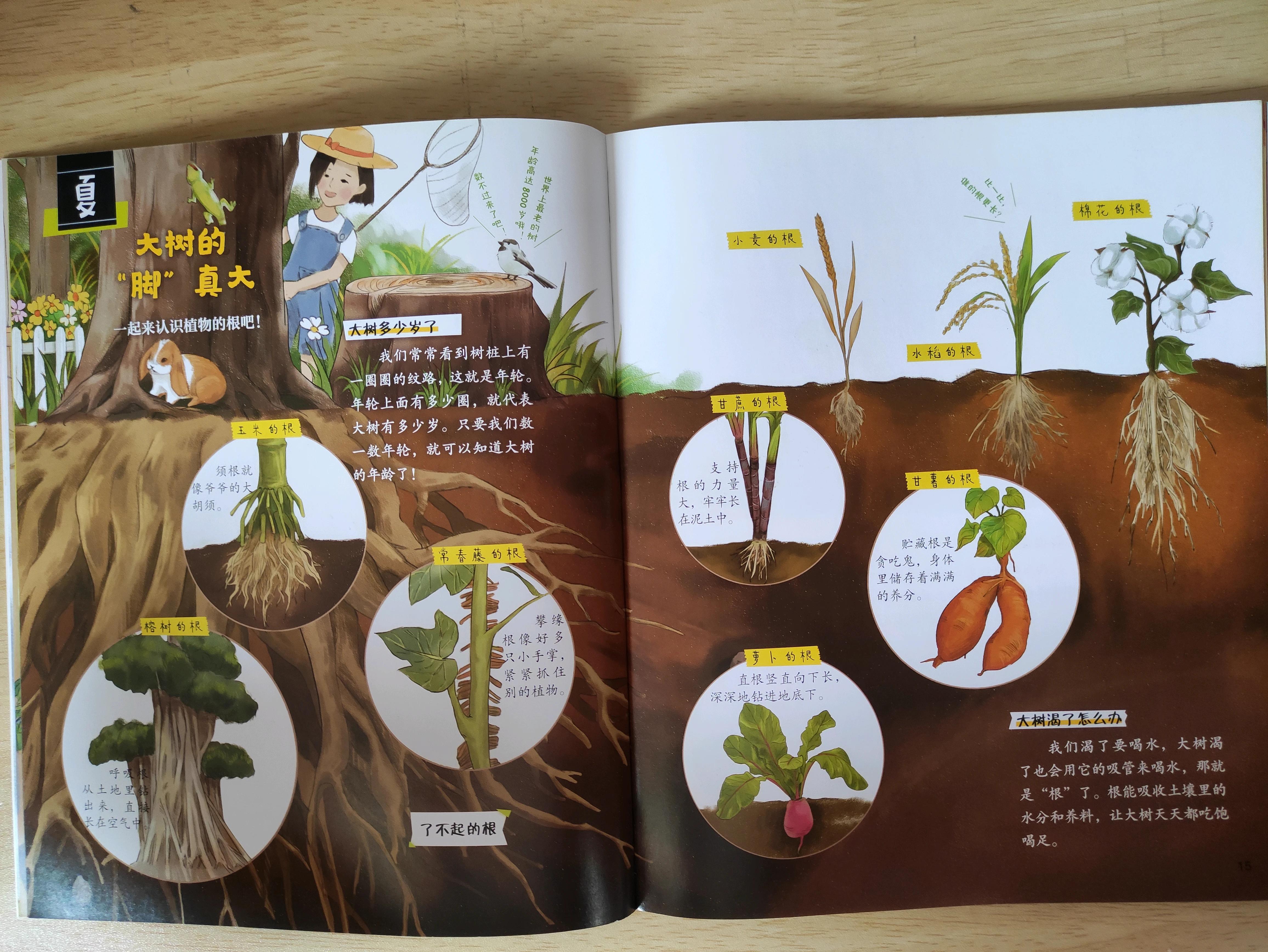 觉得性价比很高,即使是平装绘本,内容和纸张都还可以,时不时来个惊爆