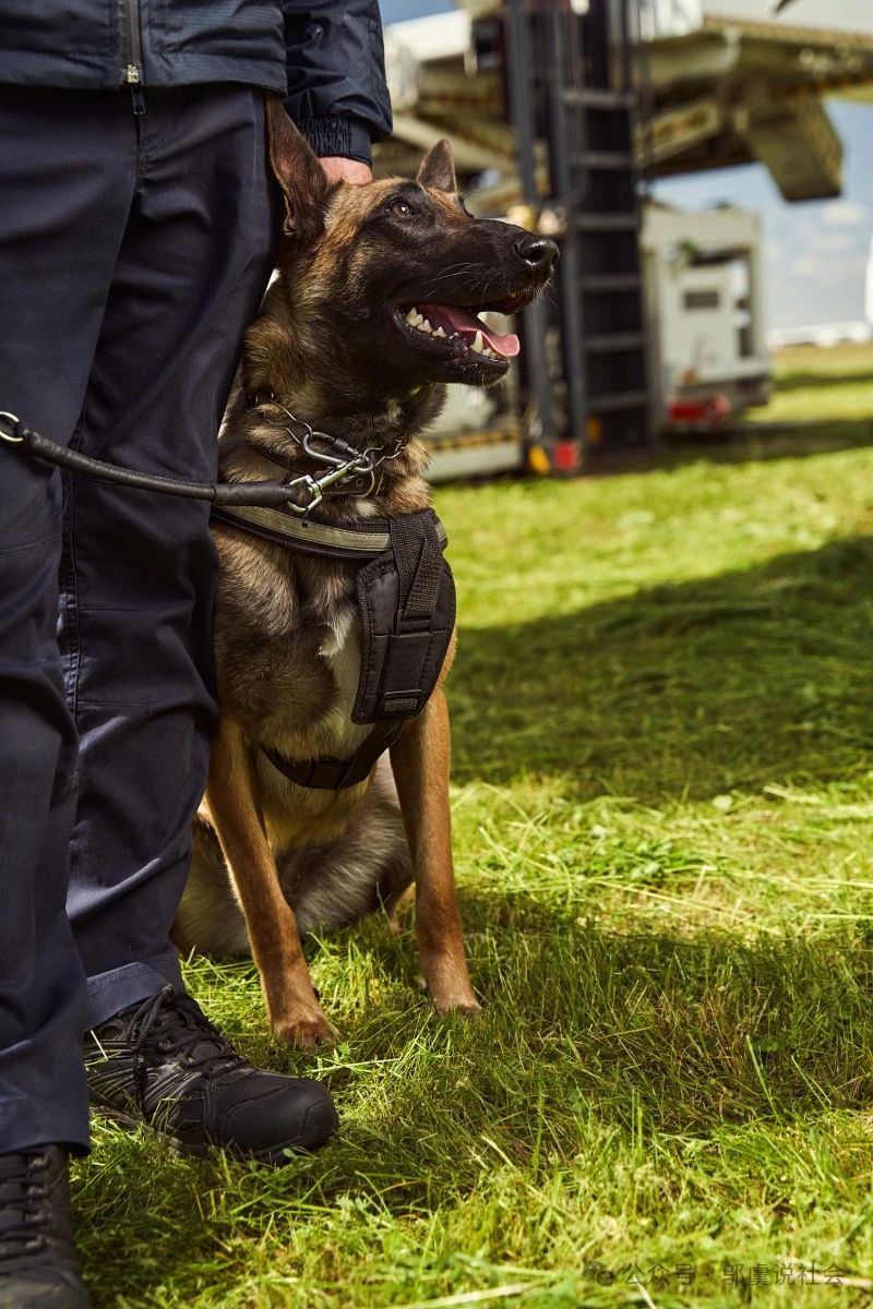 优秀的小狗也上交国家了!云南缉毒犬"阅读"立功