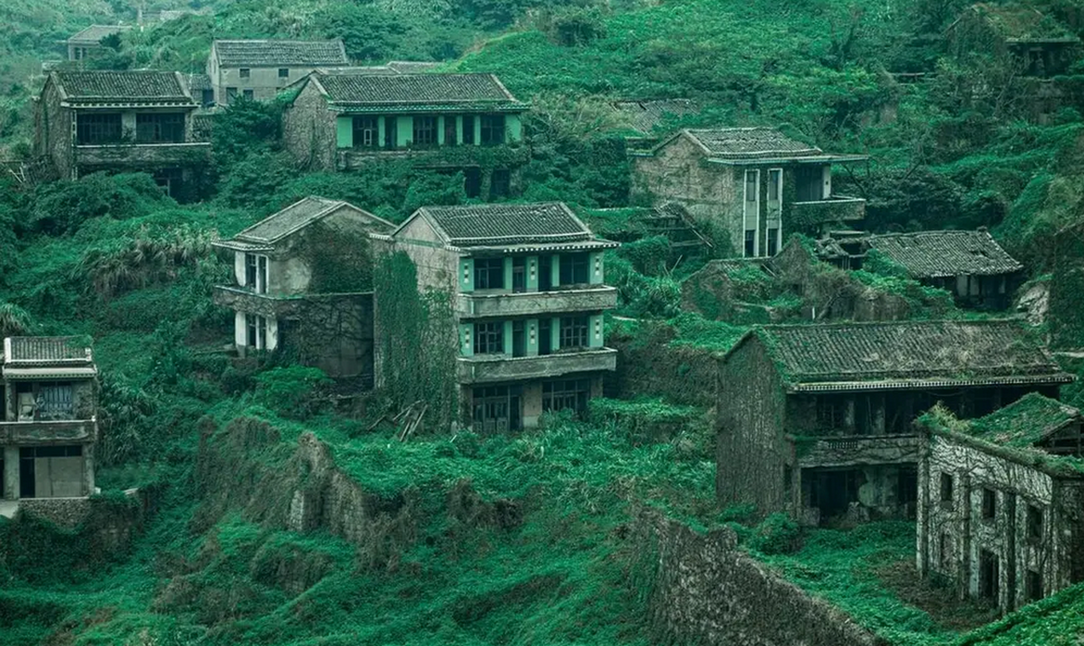 废弃20多年的无人村,如今却成为浙江嵊泗群岛上的绿野仙踪,末世仙境!