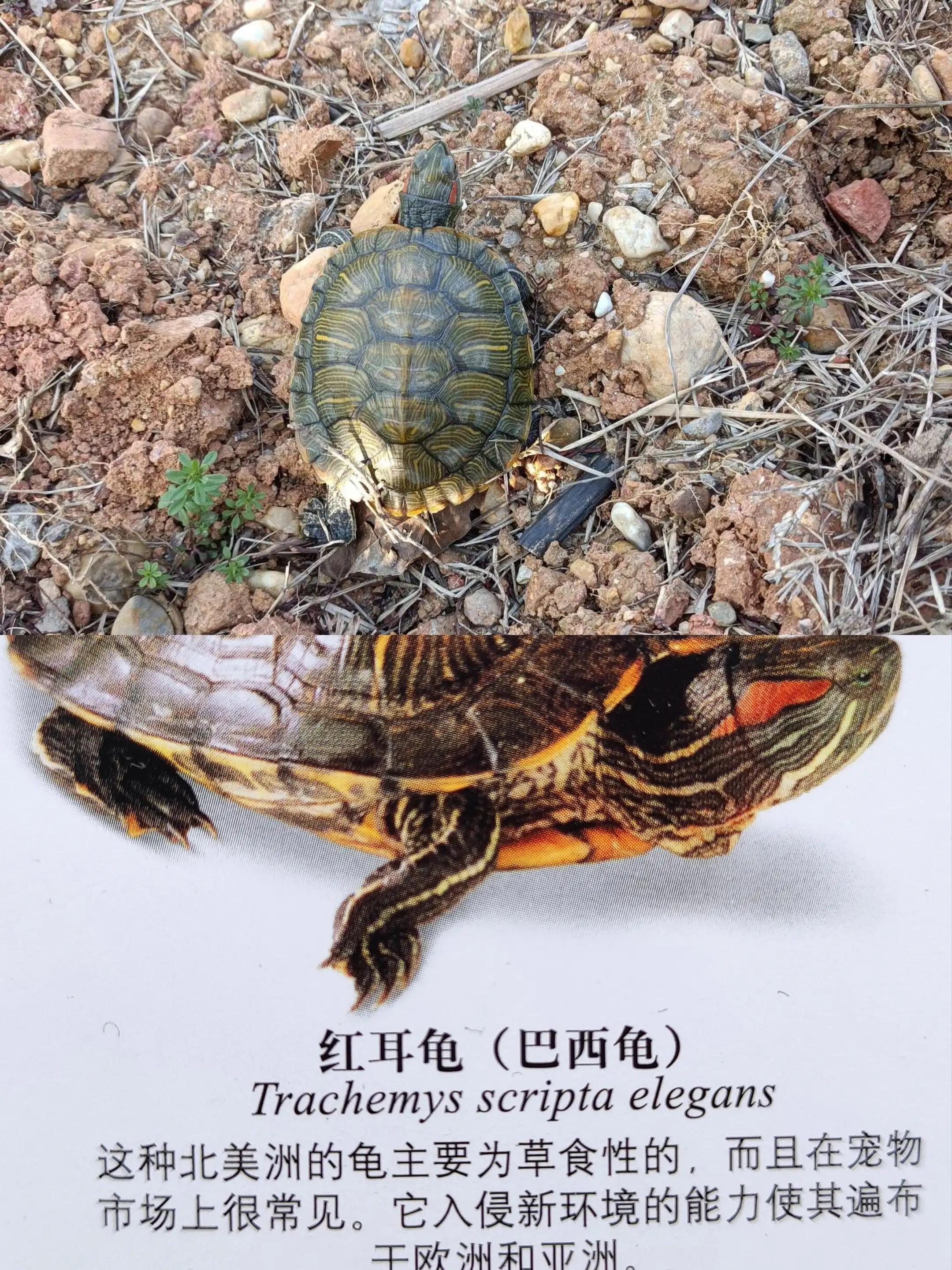 有哪些适合小学一年级学生看的科普书值得推荐