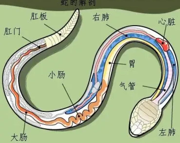 恐怖地带水管头图片