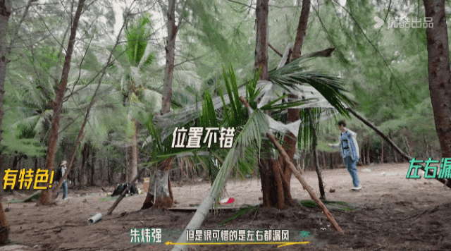 明星爆改拾荒大汉落地三秒就开始捡垃圾