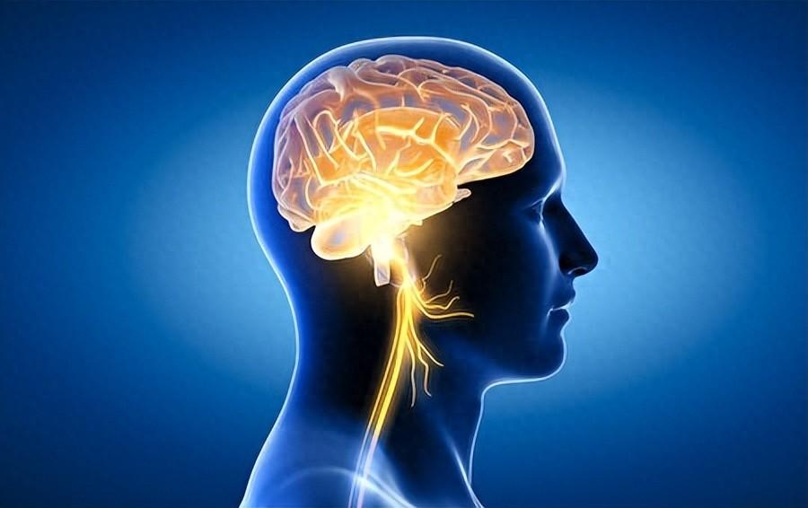 回顾人类大脑开发10剩下的难道禁锢了爱因斯坦为何聪明