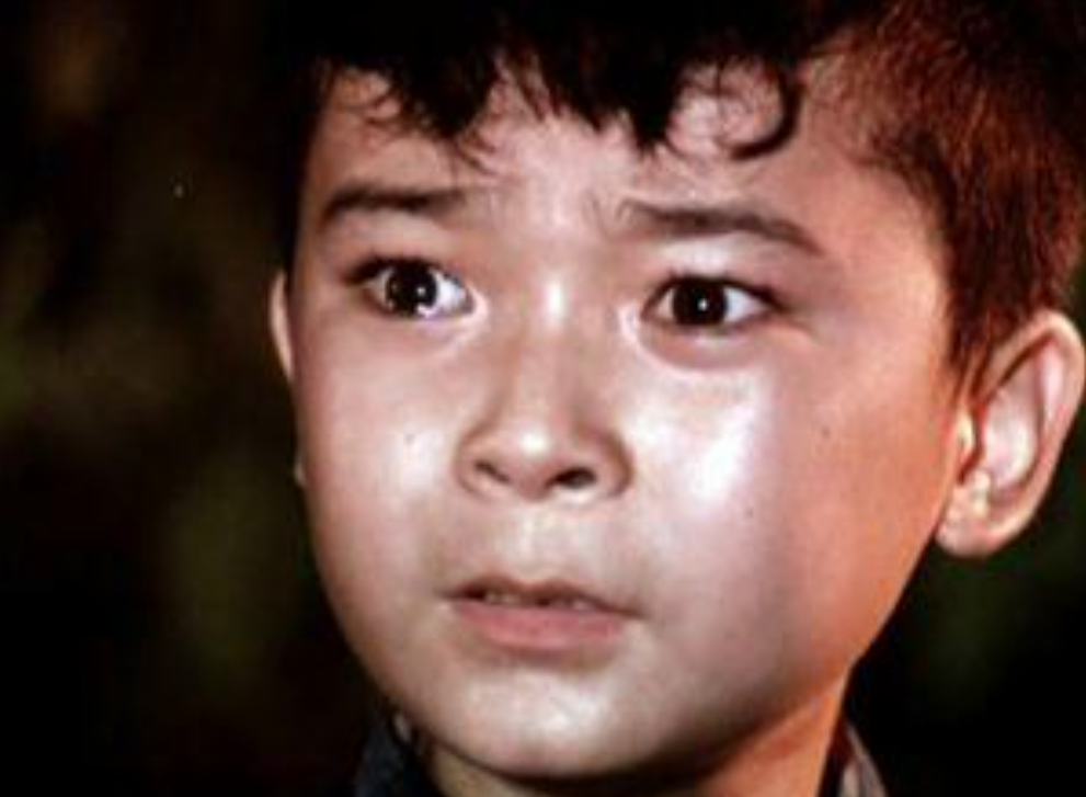 回顾祝新运因闪闪的红星走红48年过去他怎样了