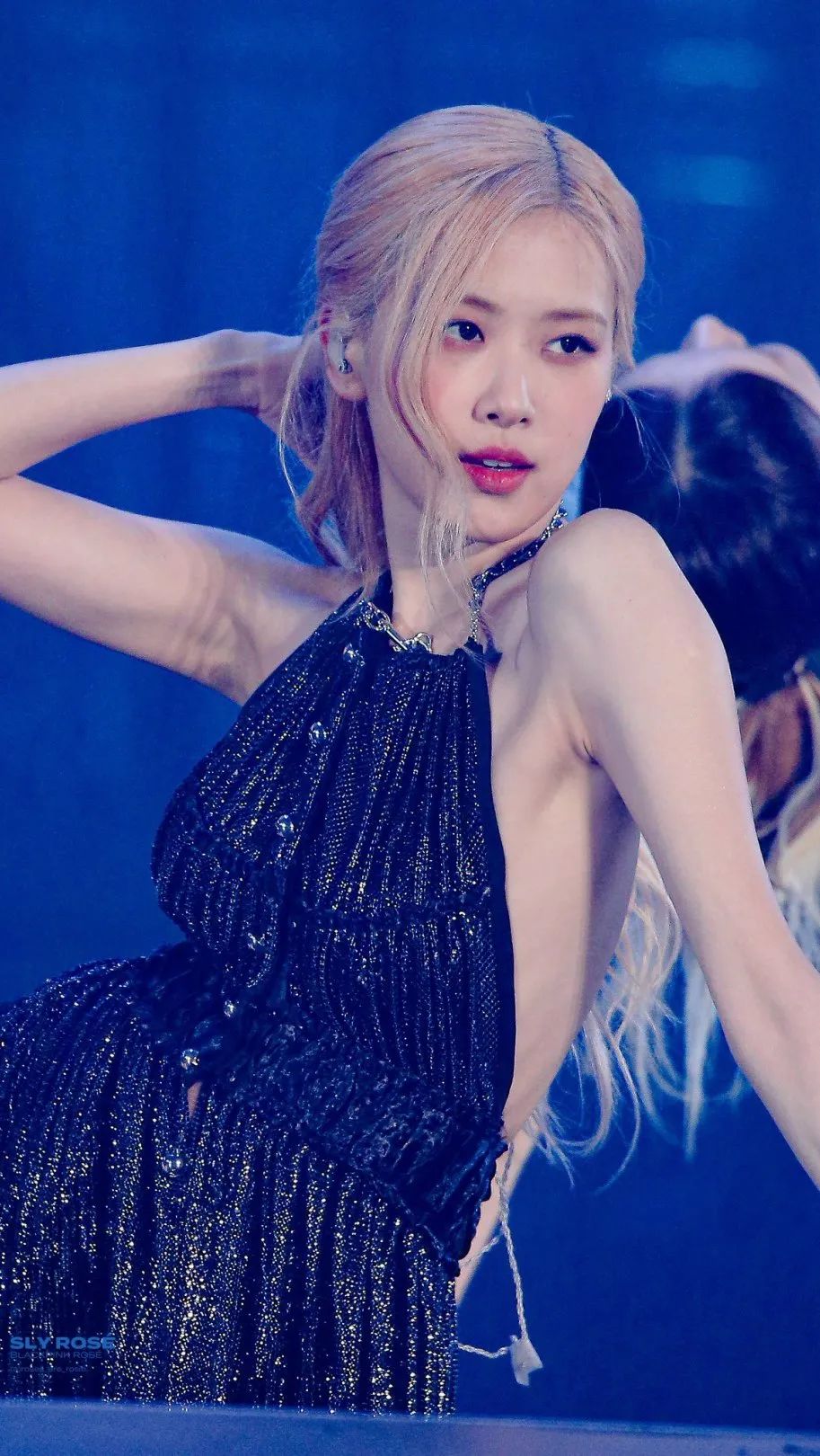 澳洲野玫瑰的绽放朴彩英的追梦之旅