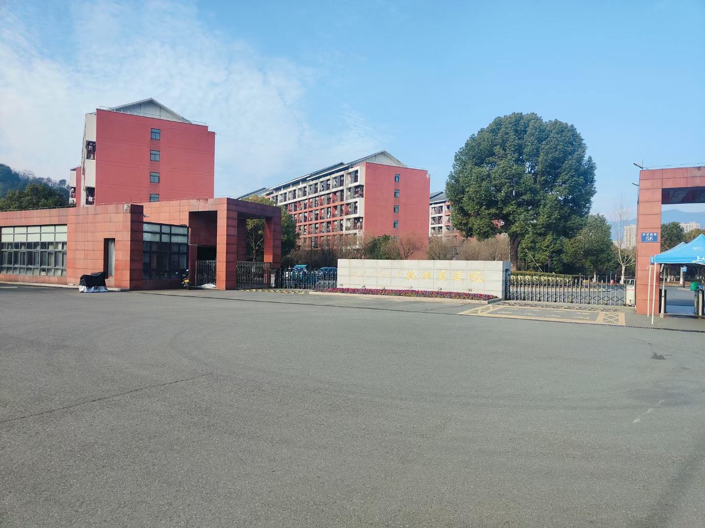 这下好了有点关系的都走三位一体自主招生路线了