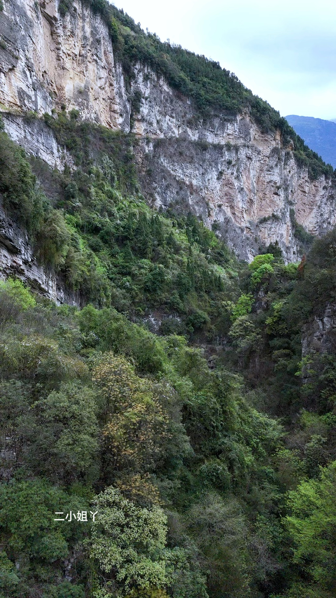 毕节天渠图片