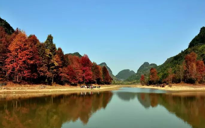 融安县的红茶沟森林公园,是一处距离城市仅有短短三公里,却能让人完全