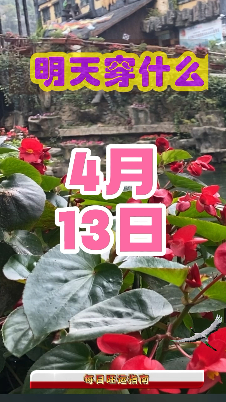 明天周六的穿搭指南