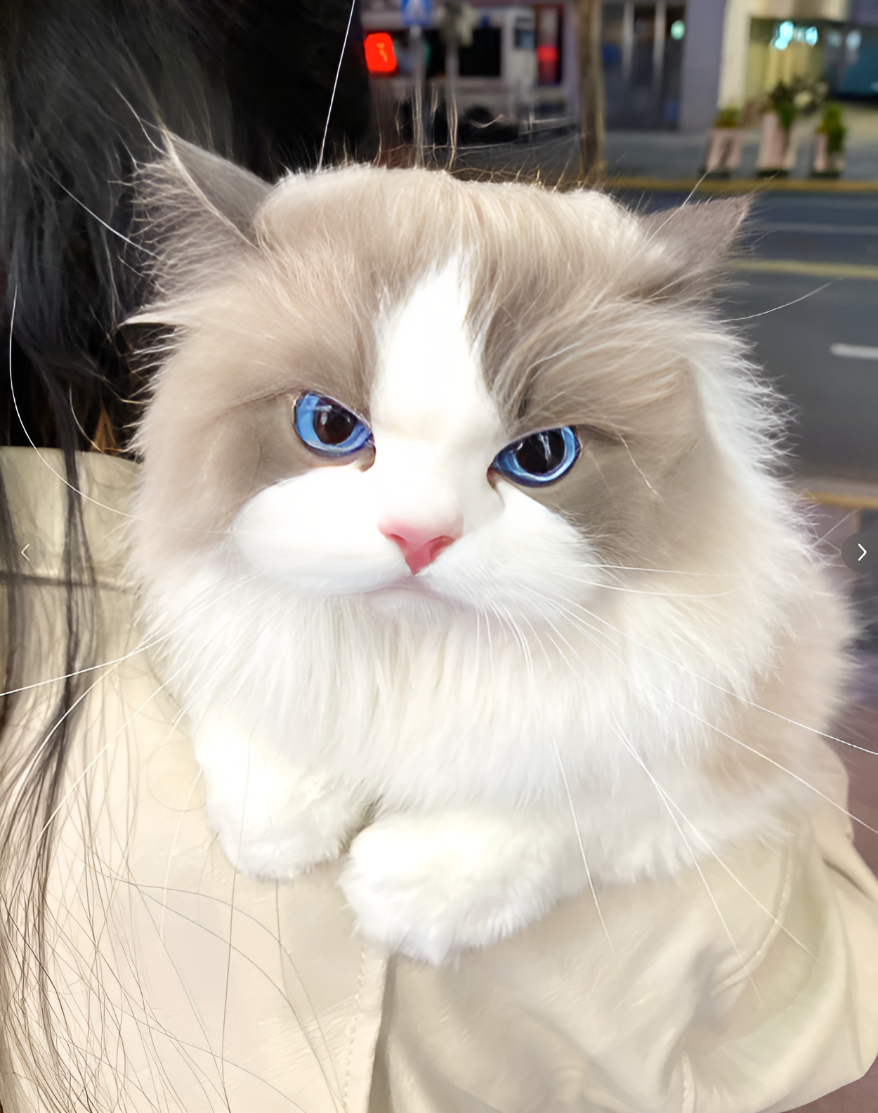 小猫咪真可爱猫星人治愈系猫咪喵